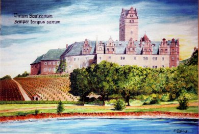 Weingarten am Schloss Plötzkau